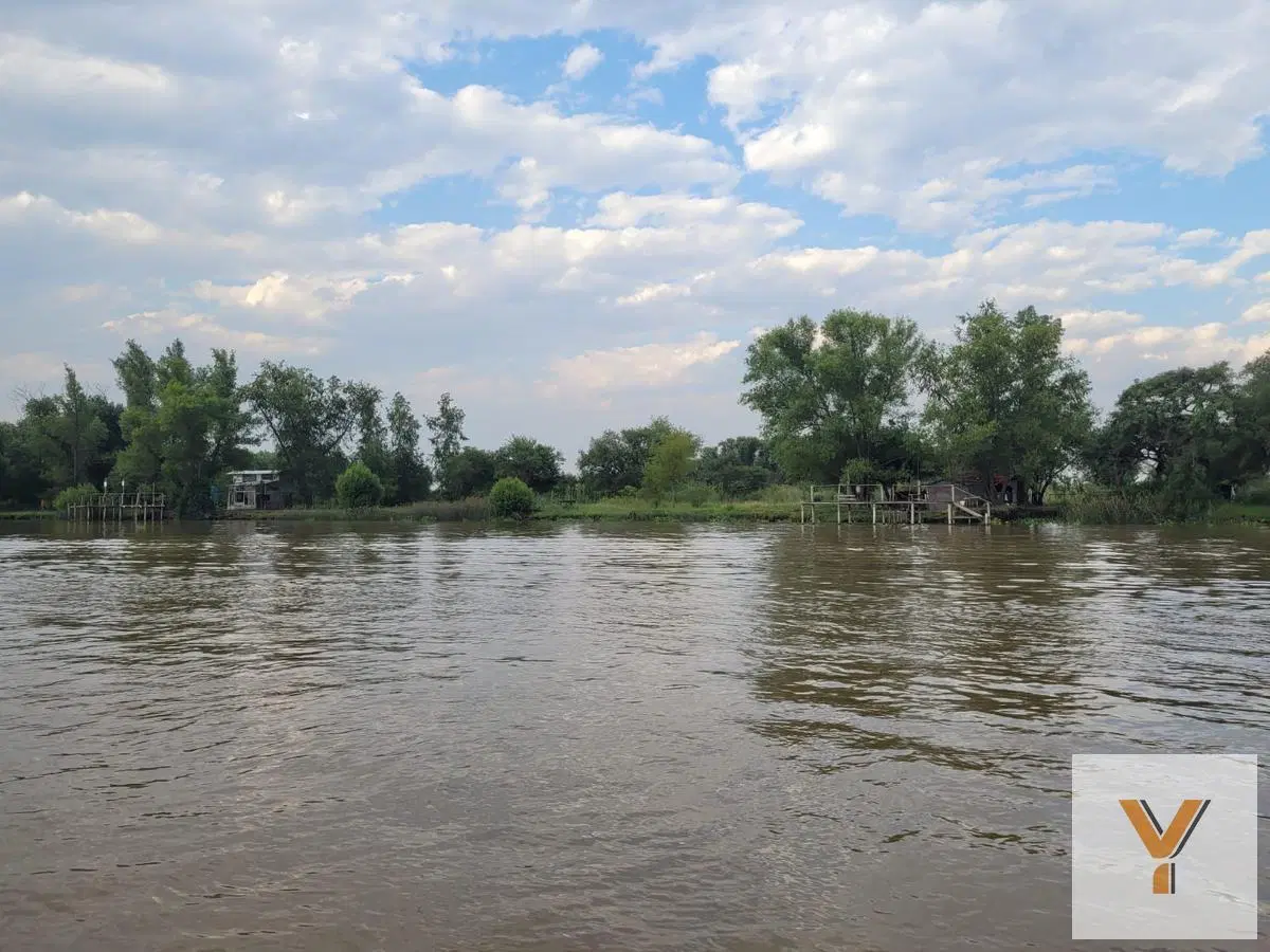 Campo en venta - 56 Ha - Zarate 2
