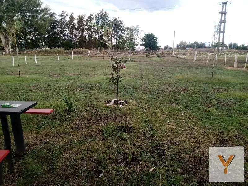 Terreno en  venta - 1080Mts2 - Abasto 3