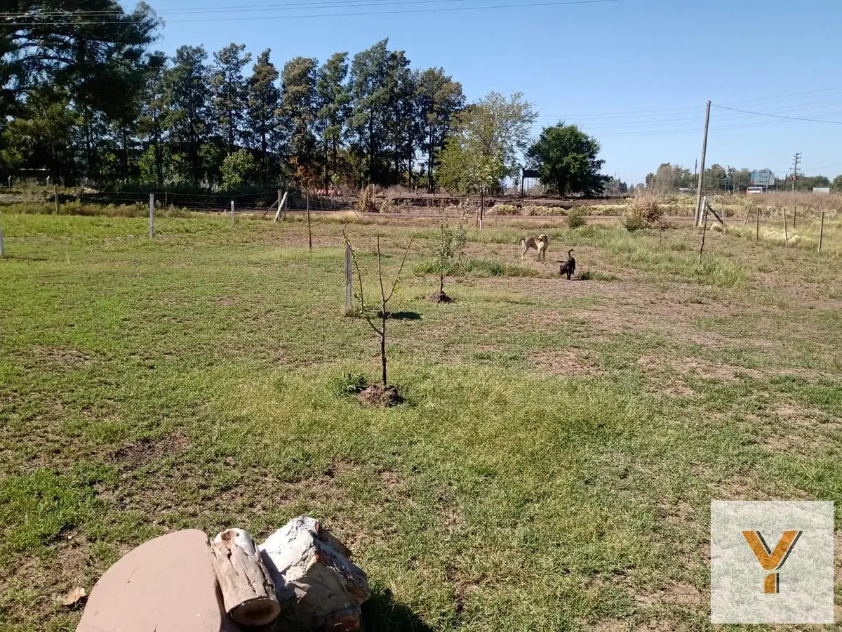 Terreno en  venta - 1080Mts2 - Abasto 4