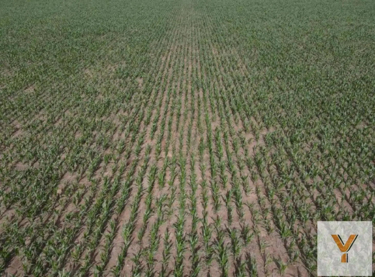 Campo en venta - 10.200.000Mts2 - Realicó 3