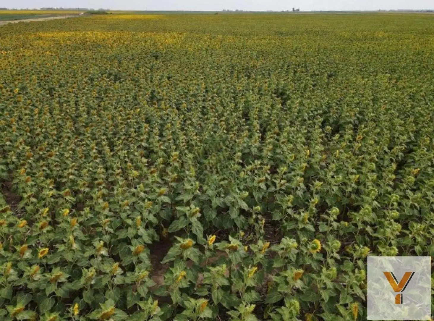 Campo en venta - 10.200.000Mts2 - Realicó 5