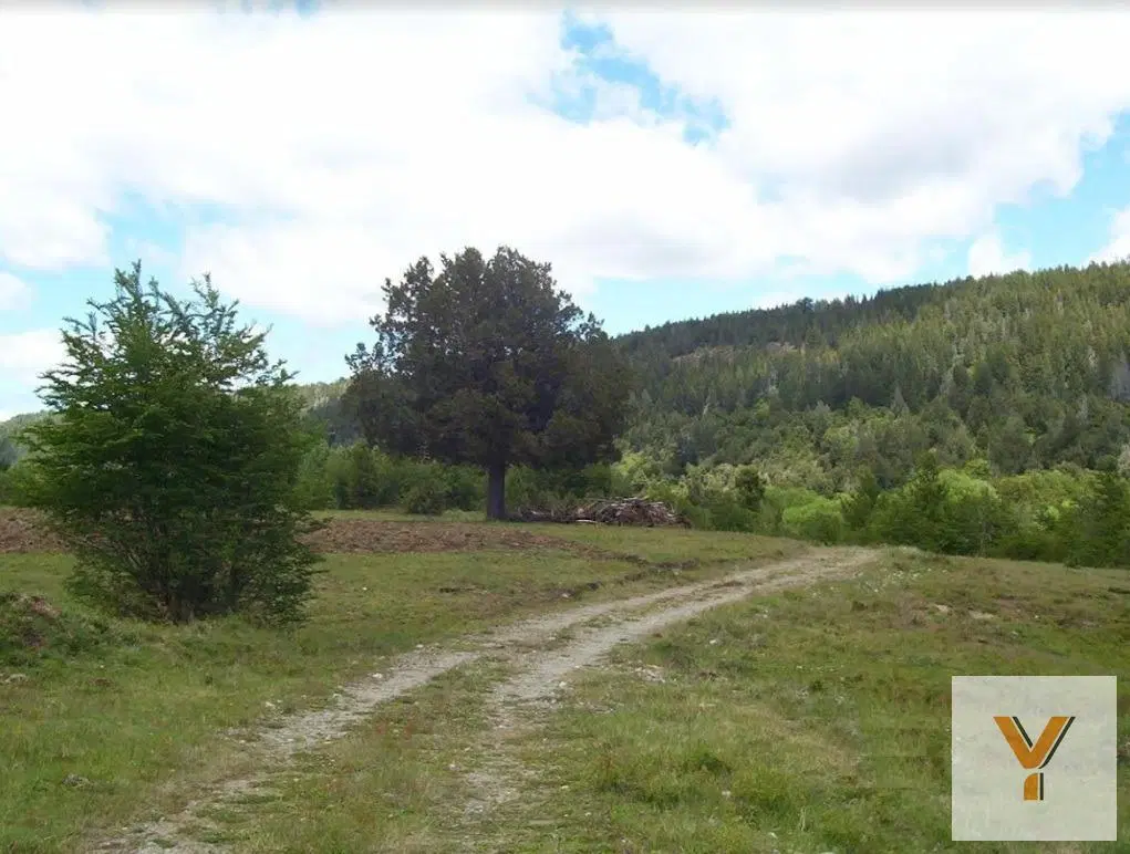 Terreno en venta - 26500Mts2 - 2 Dormitorios 1 Baño - El Bolsón 3
