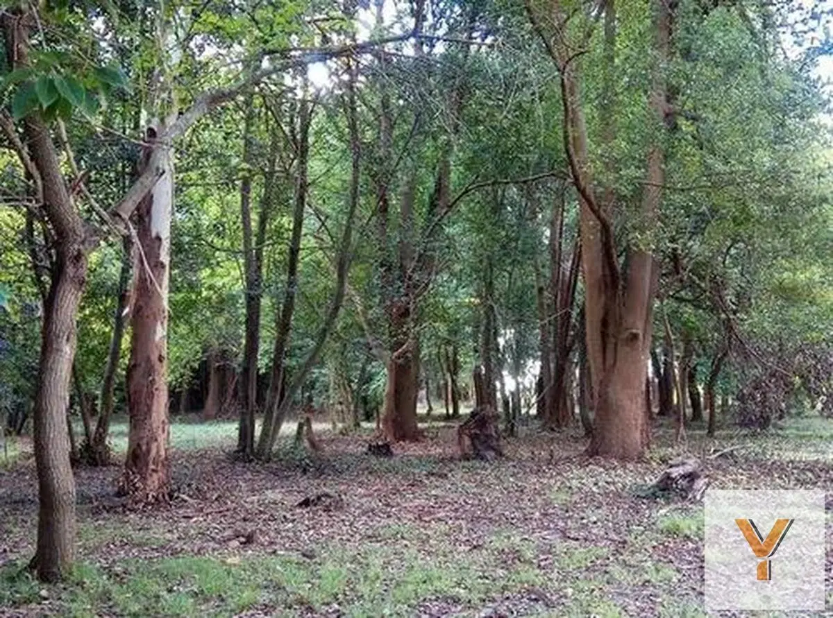 Terreno en venta - 600Mts2 - Florencio Varela 5