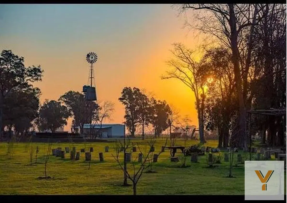 Terreno en venta - 1000mts2 - Los Tres Pinos, General Rodríguez 4