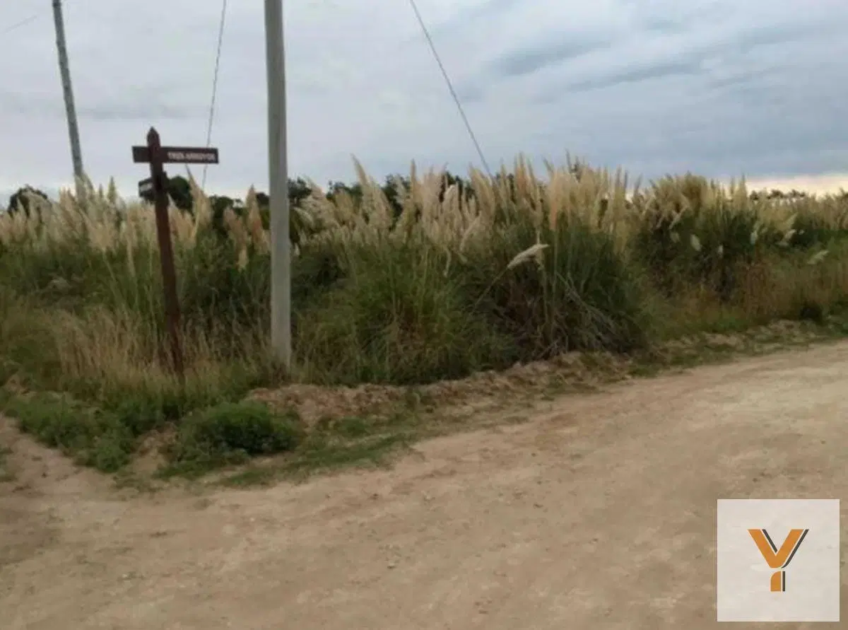 Terrenos en venta - 900mts2 - Balneario Marisol, Coronel Dorrego 2