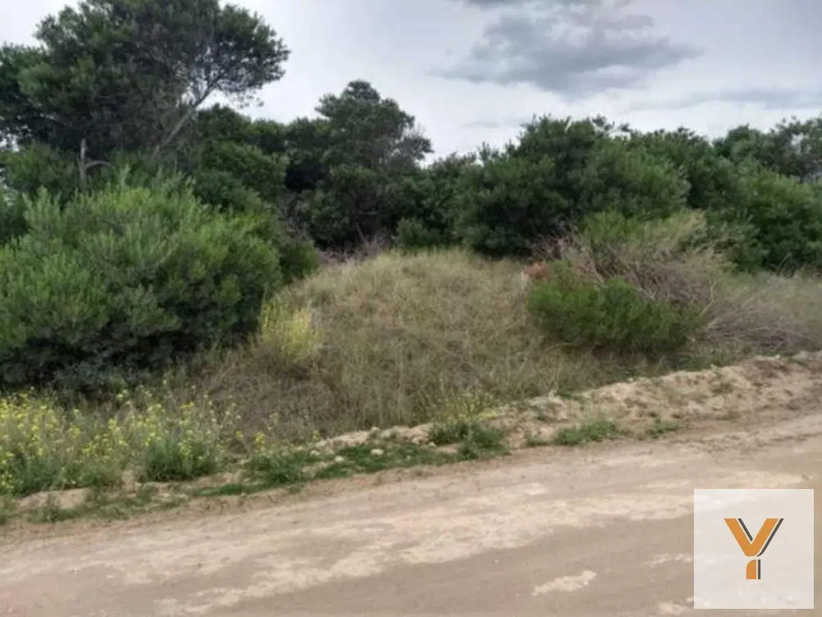 Terrenos en venta - 900mts2 - Balneario Marisol, Coronel Dorrego 4
