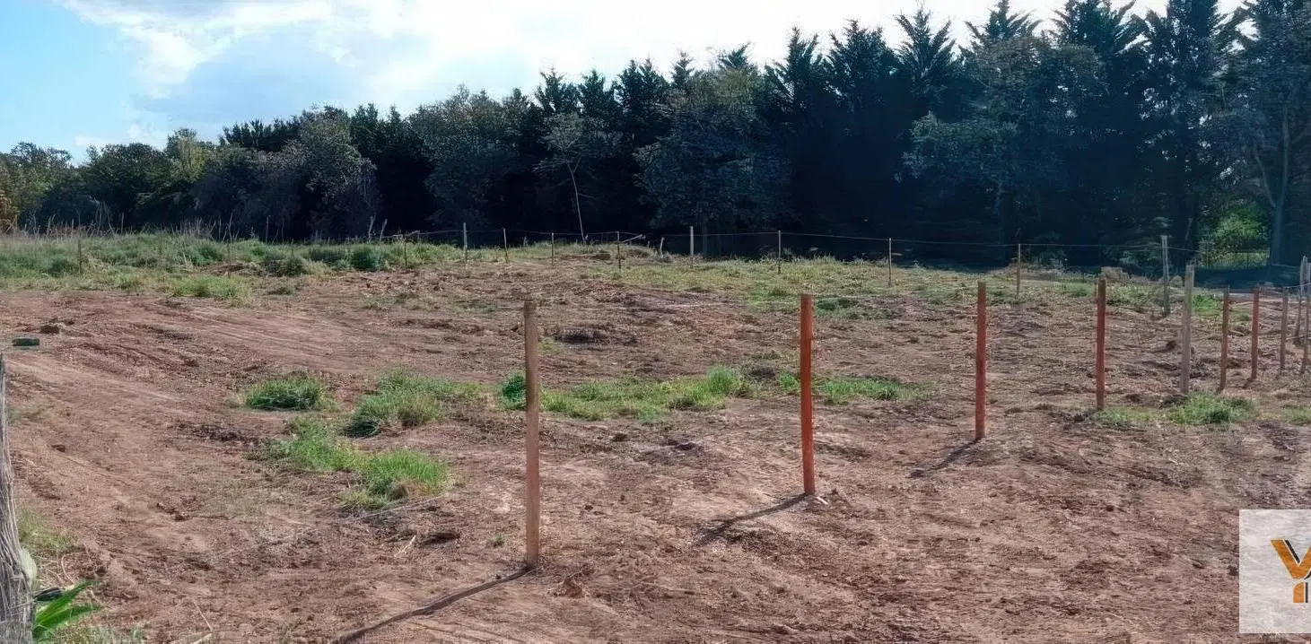 Terreno en venta - 195Mts2 - Necochea 5