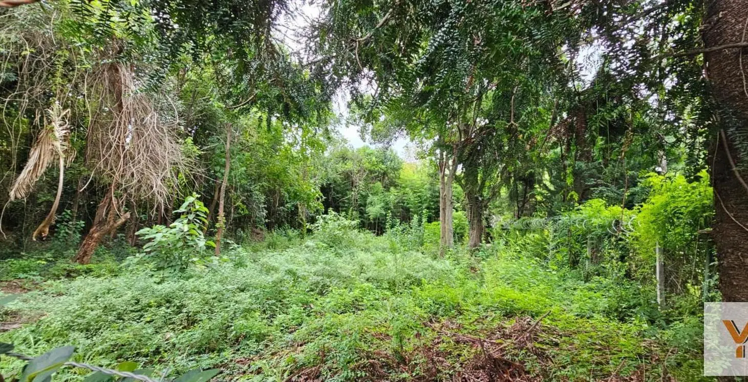Terreno en venta - 3.982Mts2 - Boulogne Sur Mer 3