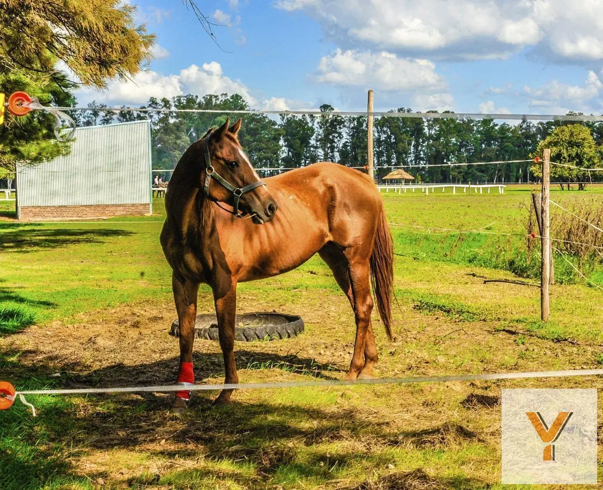 Terreno en venta - 3.587mts2 - Carlos Keen 3