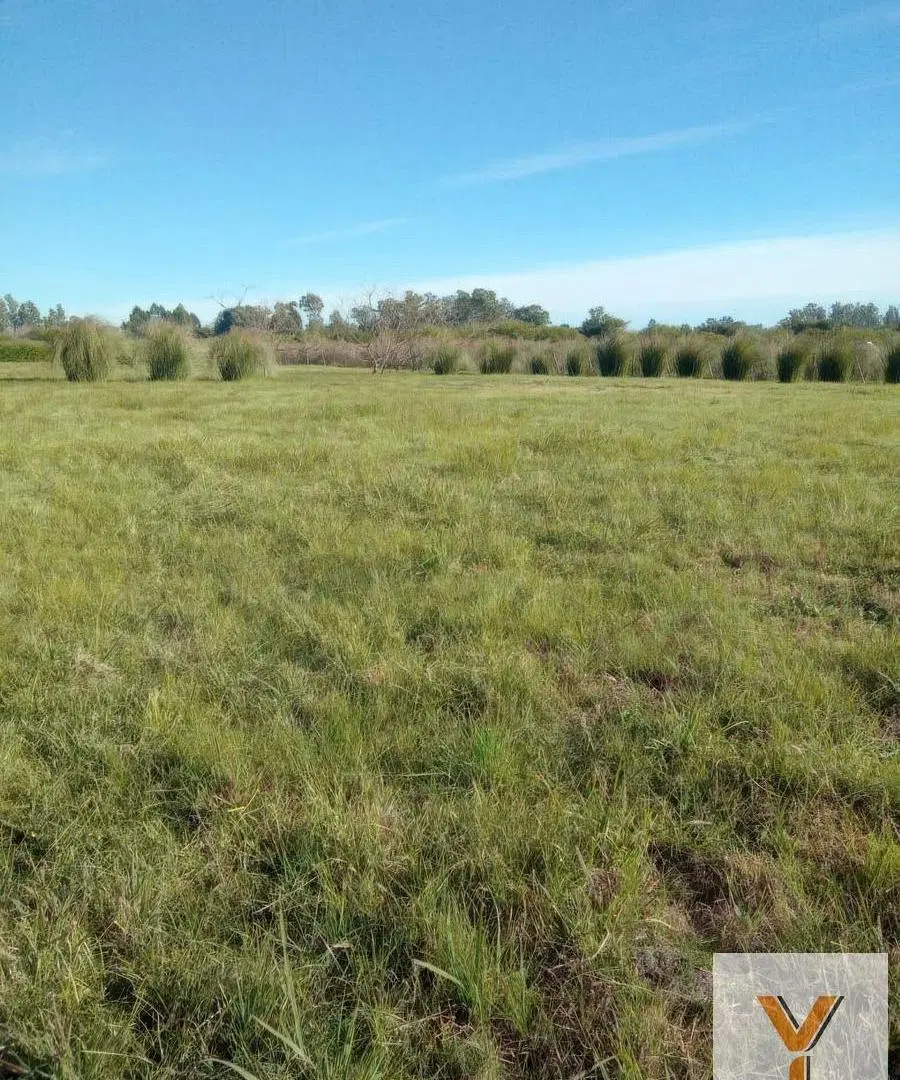 Terreno en venta - 3310.8Mts2 - Coronel Hughes, Colón, Entre Ríos 4