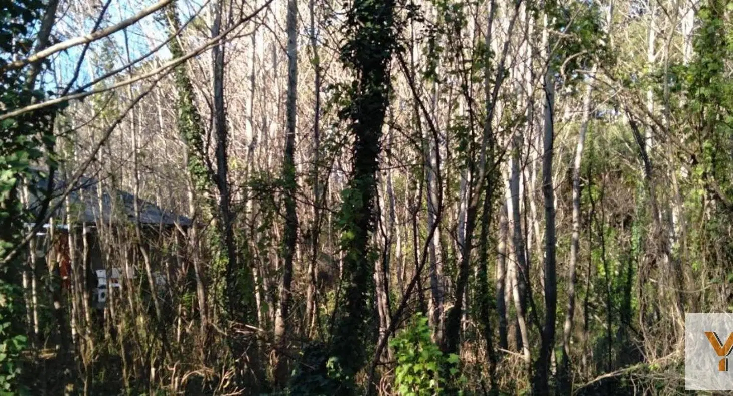 Terreno en venta - 350Mts2 - Mar Azul 3