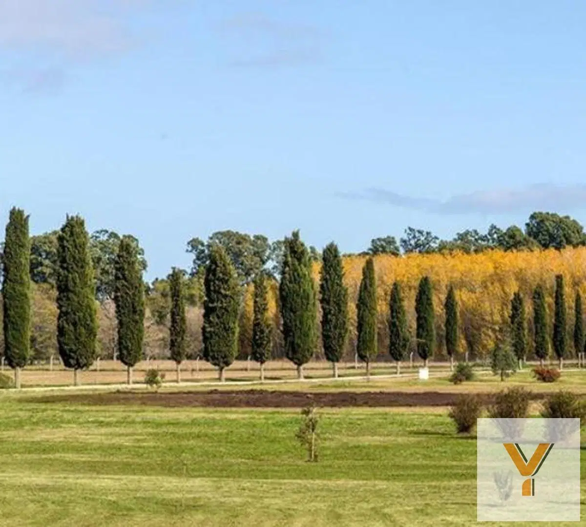 Terreno en venta - 700Mts2 - General Madariaga 4