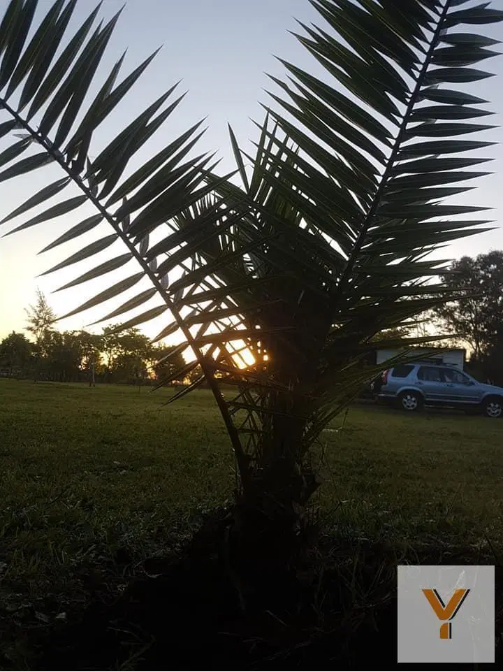 Terreno en venta - 1290Mts2 - Cazón 4