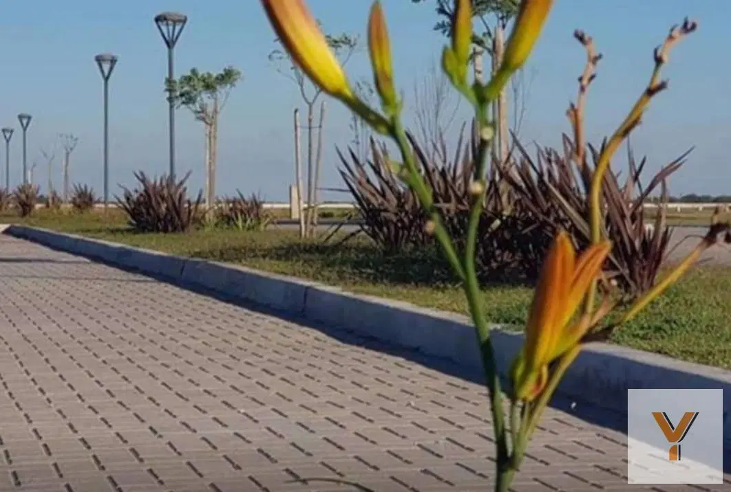 Terreno en venta - 800mts2 - Santa Clara al Sur 3