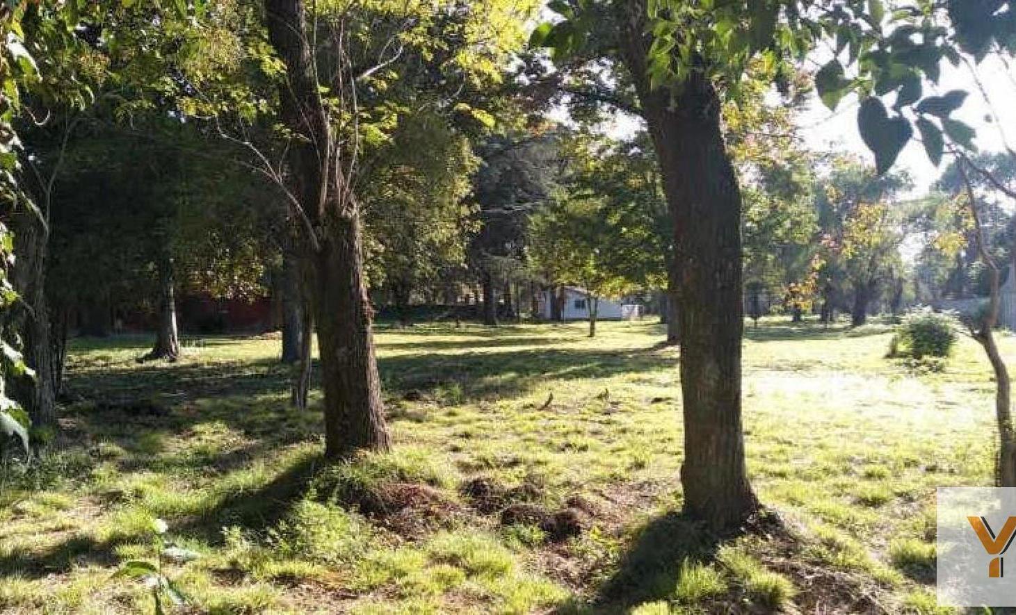Foto de Terreno en venta - 20x53 -1065 mts2 - General Rodríguez, imagen 5