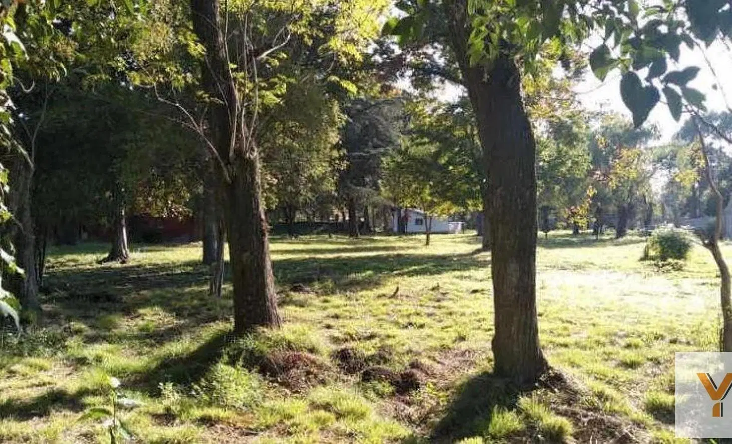 Terreno en venta - 20x53 -1065 mts2 - General Rodríguez 8