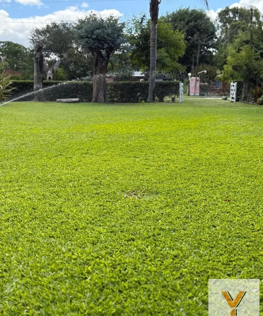 Casa en venta - 2 Dormitorios 2 Baños - Cochera - 1.000Mts2 - Chascomús 2