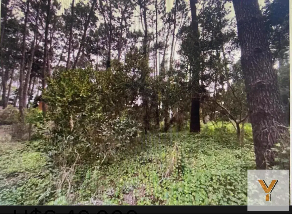 Terreno en venta - 275Mts2 - Mar Azul 7