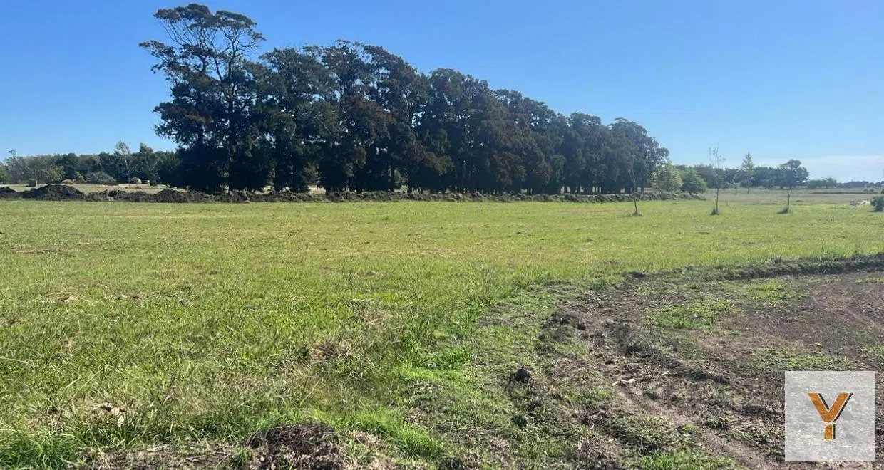 Terreno en venta - 748Mts2 - General Madariaga 2