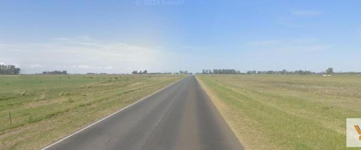 Foto de Campo en venta - 280 Hectáreas - Bolívar, imagen 5