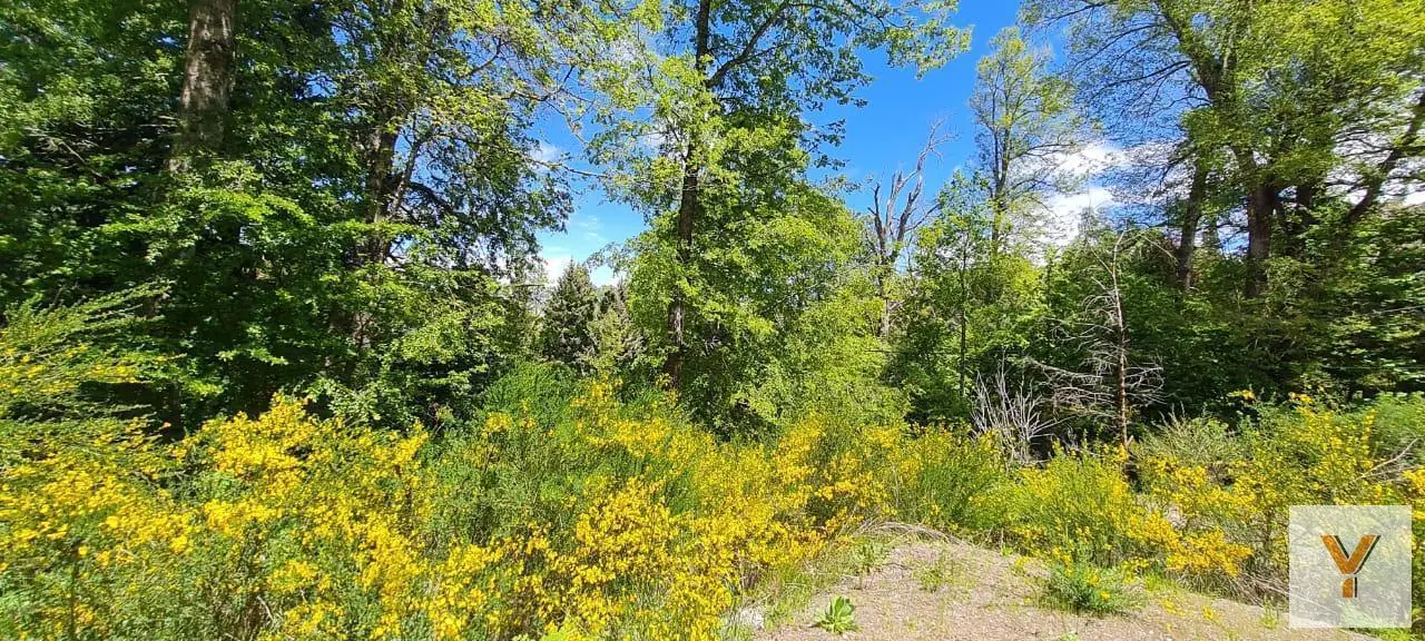 Terreno en venta - 836Mts2 - San Martín de los Andes 4