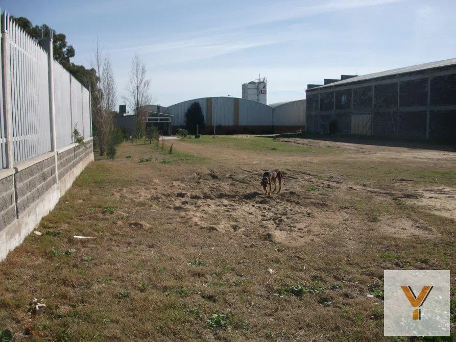 Terreno venta - galpón - casa 2 dormitaros 1 baño - 4326mts2 totales - General Madariaga 3
