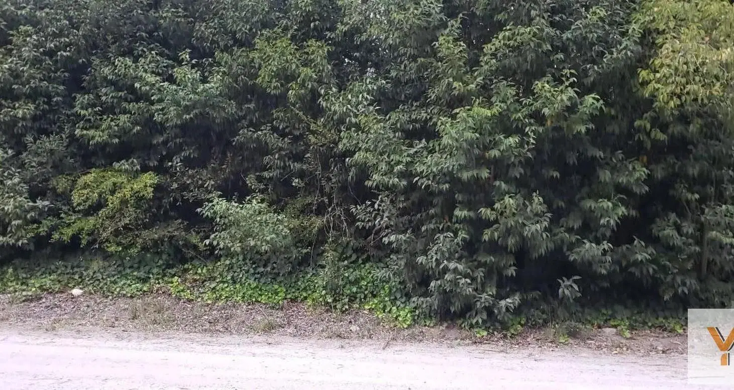 Terreno en venta - 1050Mts2 - Punta Indio 3