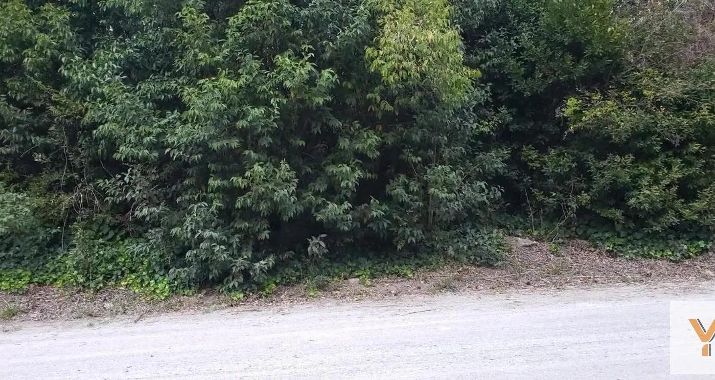 Terreno en venta - 1050Mts2 - Punta Indio 4
