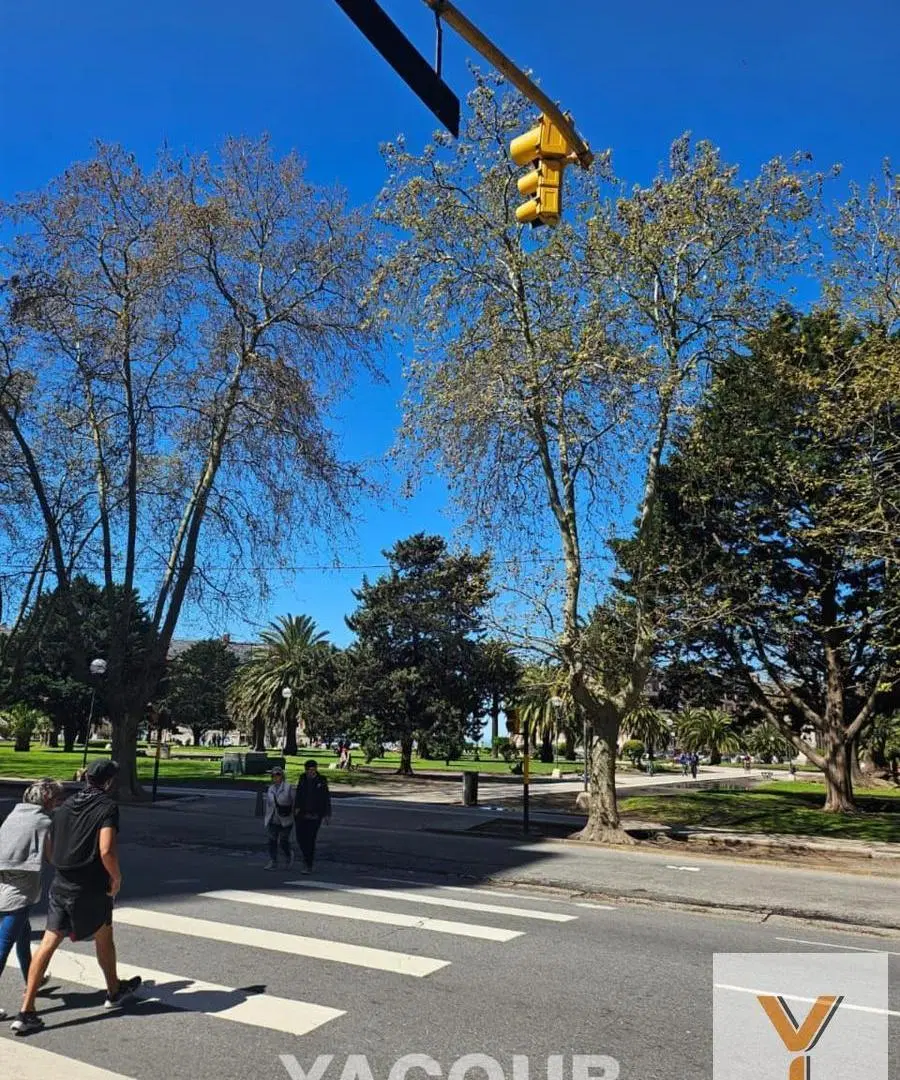 Departamento en alquiler temporario - Monoambiente - Mar del Plata 2