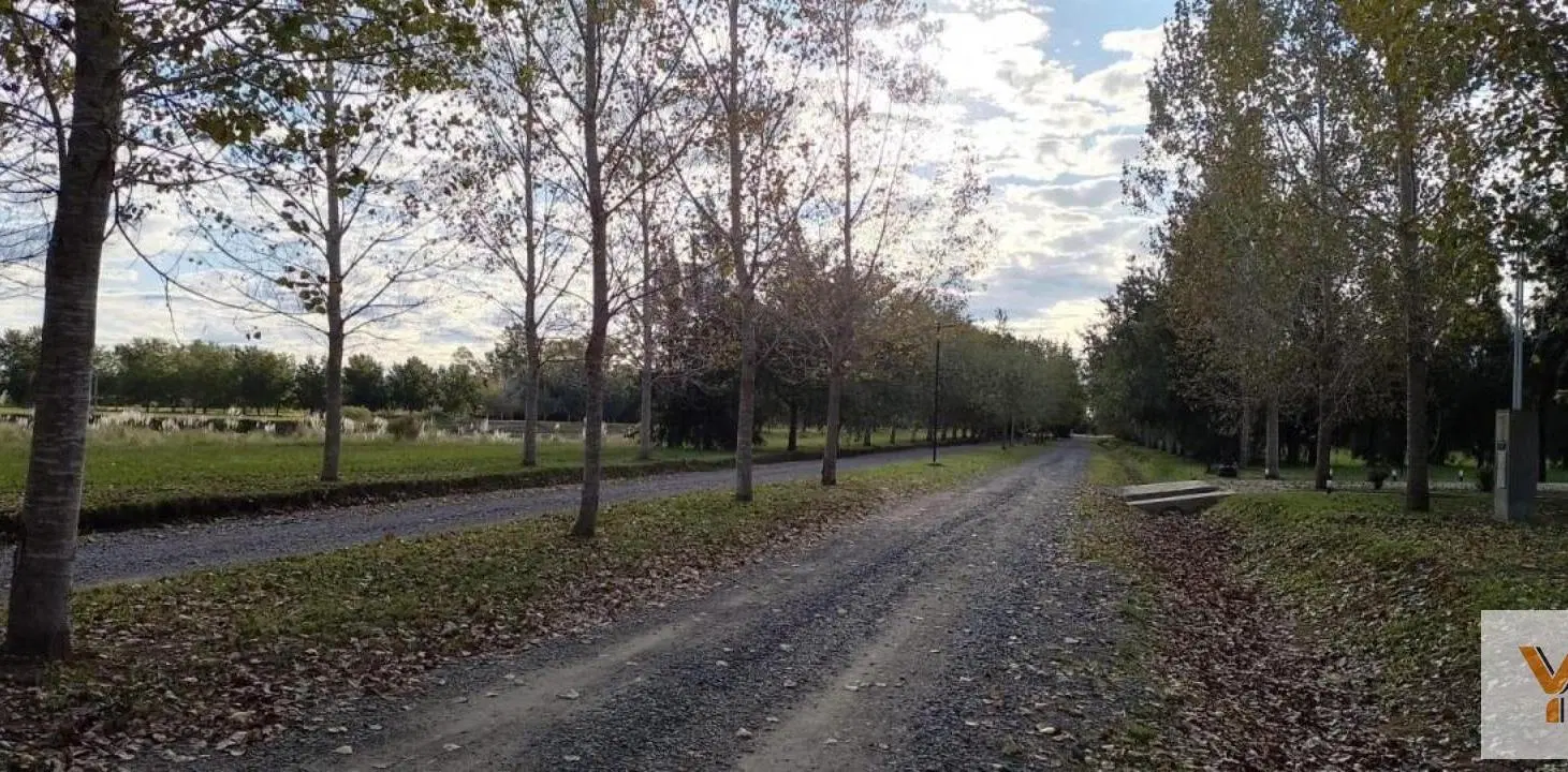 Terreno en Venta - - 1350mts - Coronel Brandsen 2
