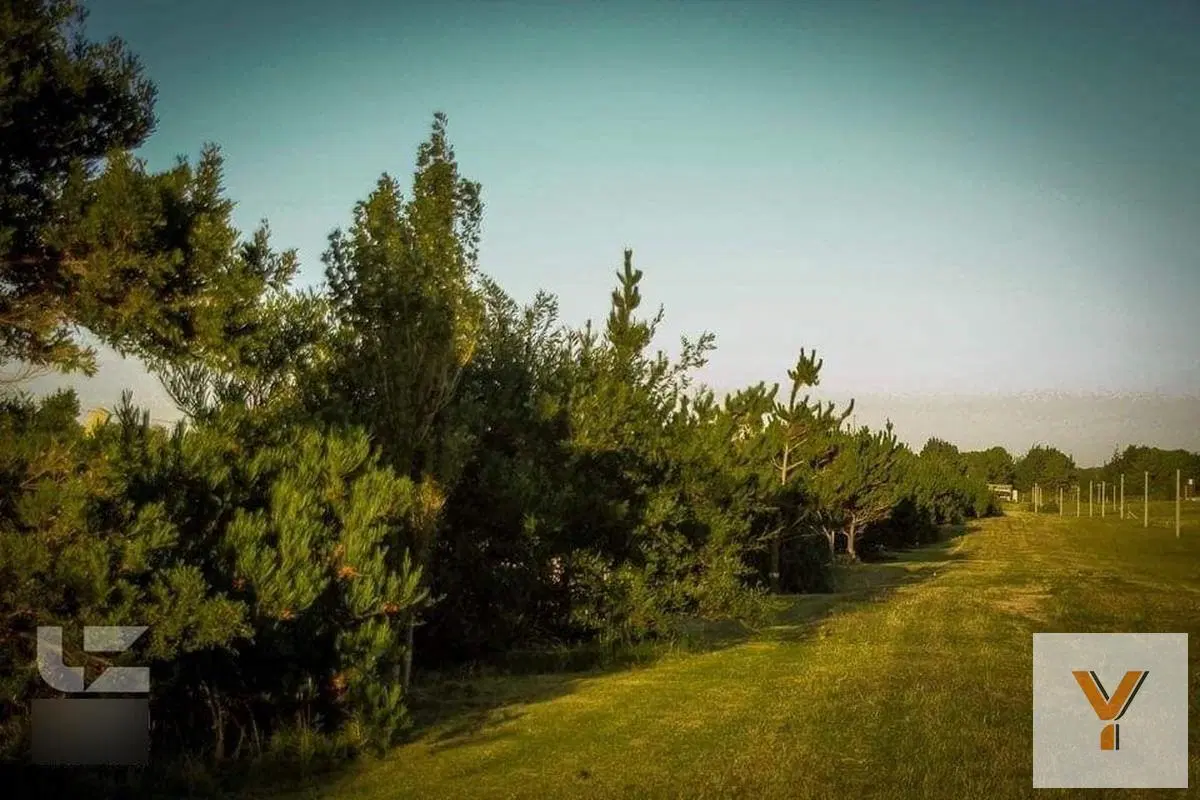 Terreno venta - 1.000mts2 totales - Lomas del Golf, Necochea 8