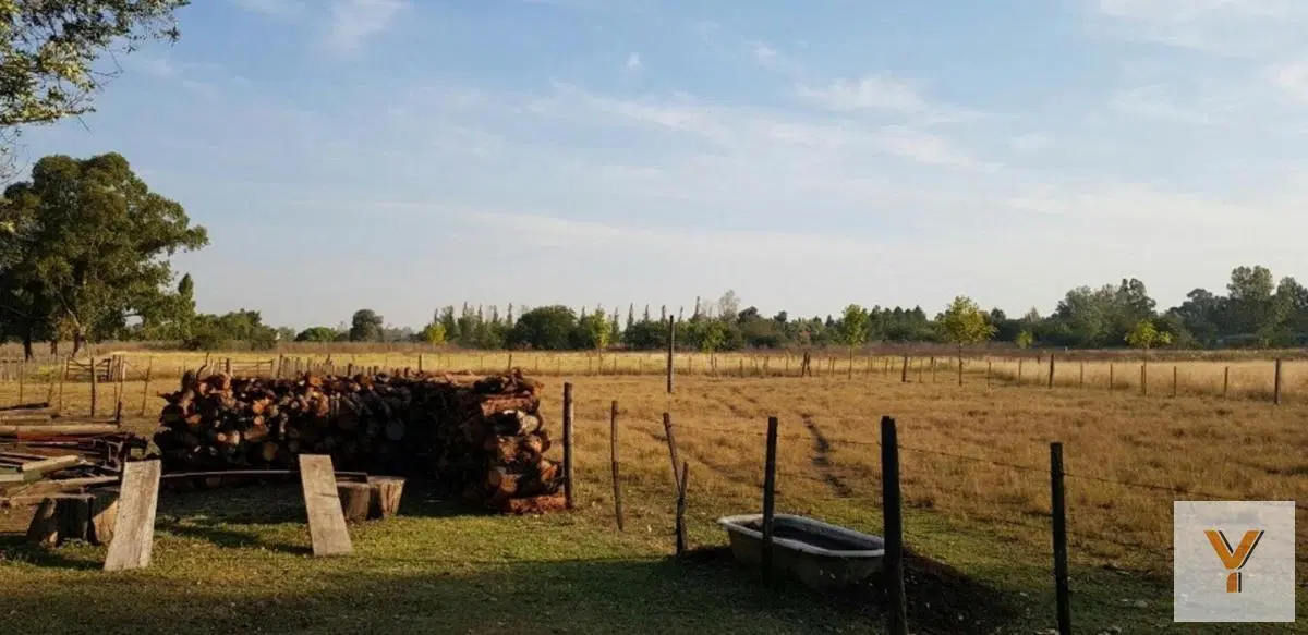 Campo en venta - 80.000Mts2 - 5 Dormitorios 3 Baños - Cocheras - Lomas de Fátima 5