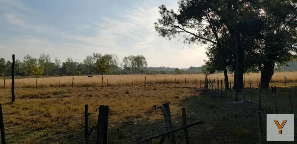 Campo en venta - 80.000Mts2 - 5 Dormitorios 3 Baños - Cocheras - Lomas de Fátima 3