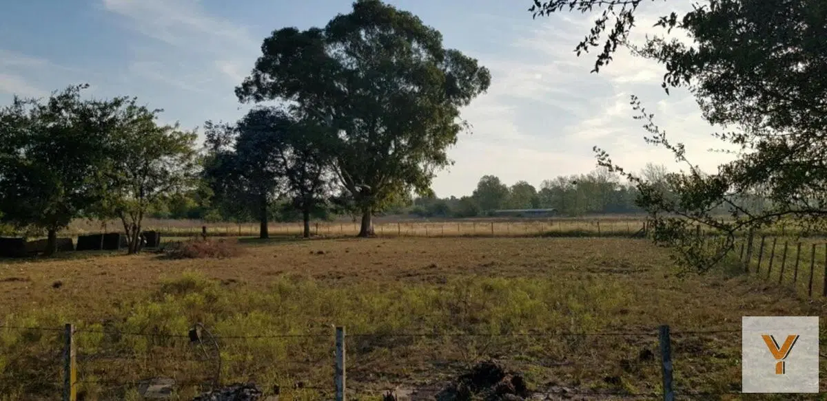 Campo en venta - 80.000Mts2 - 5 Dormitorios 3 Baños - Cocheras - Lomas de Fátima 8