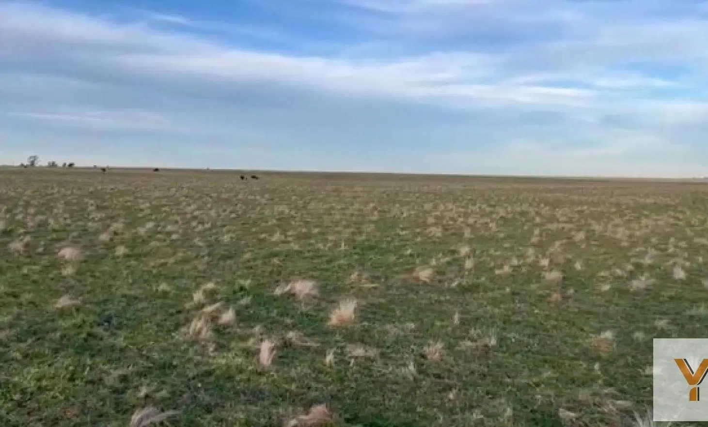 Campo en venta - 2.830.000mts2 - Necochea 2