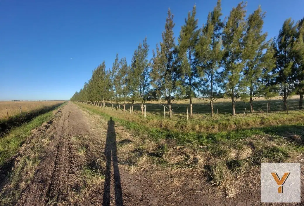 Campo en Venta - - 310000mts - La Plata 5