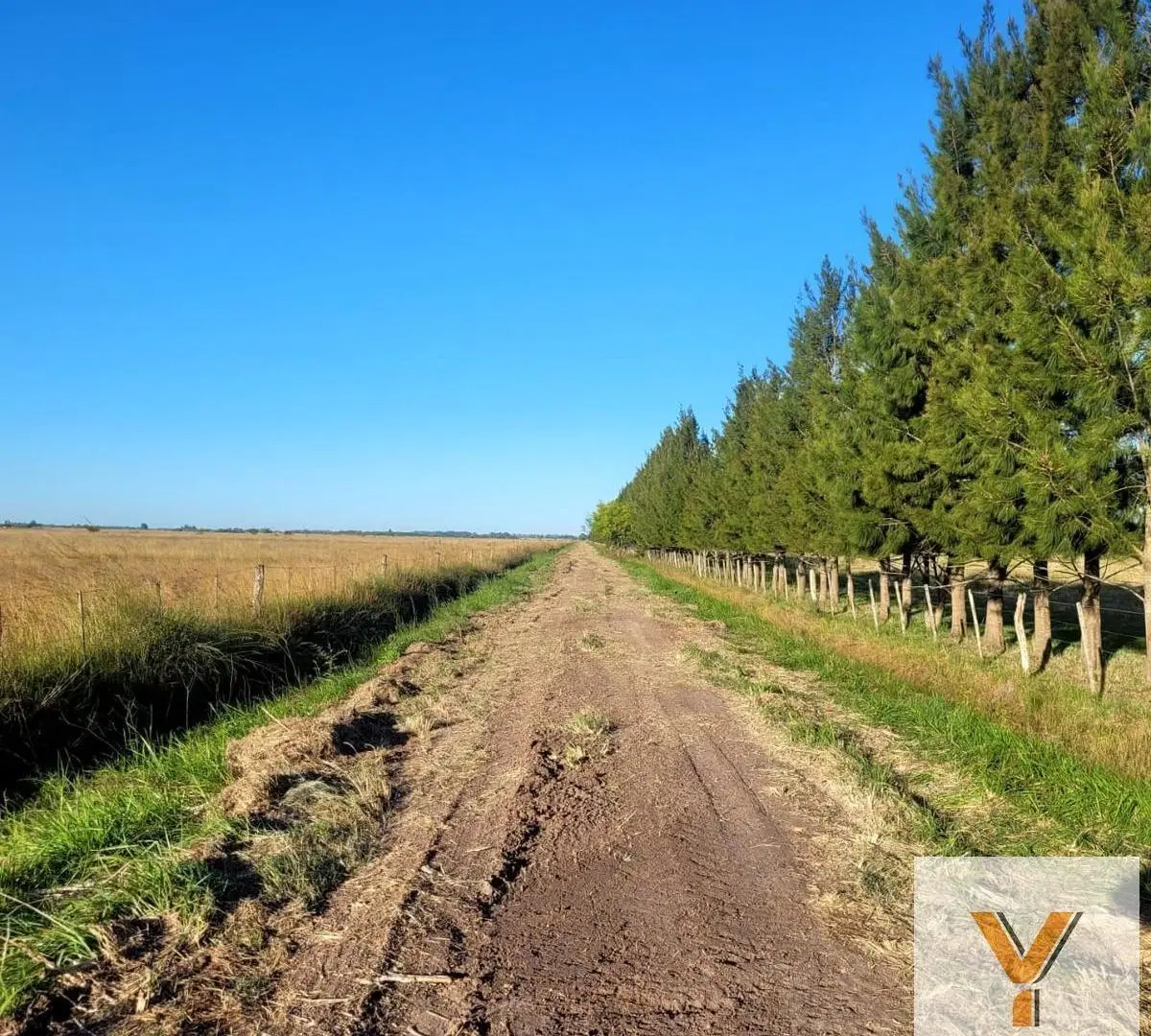 Campo en Venta - - 310000mts - La Plata 3