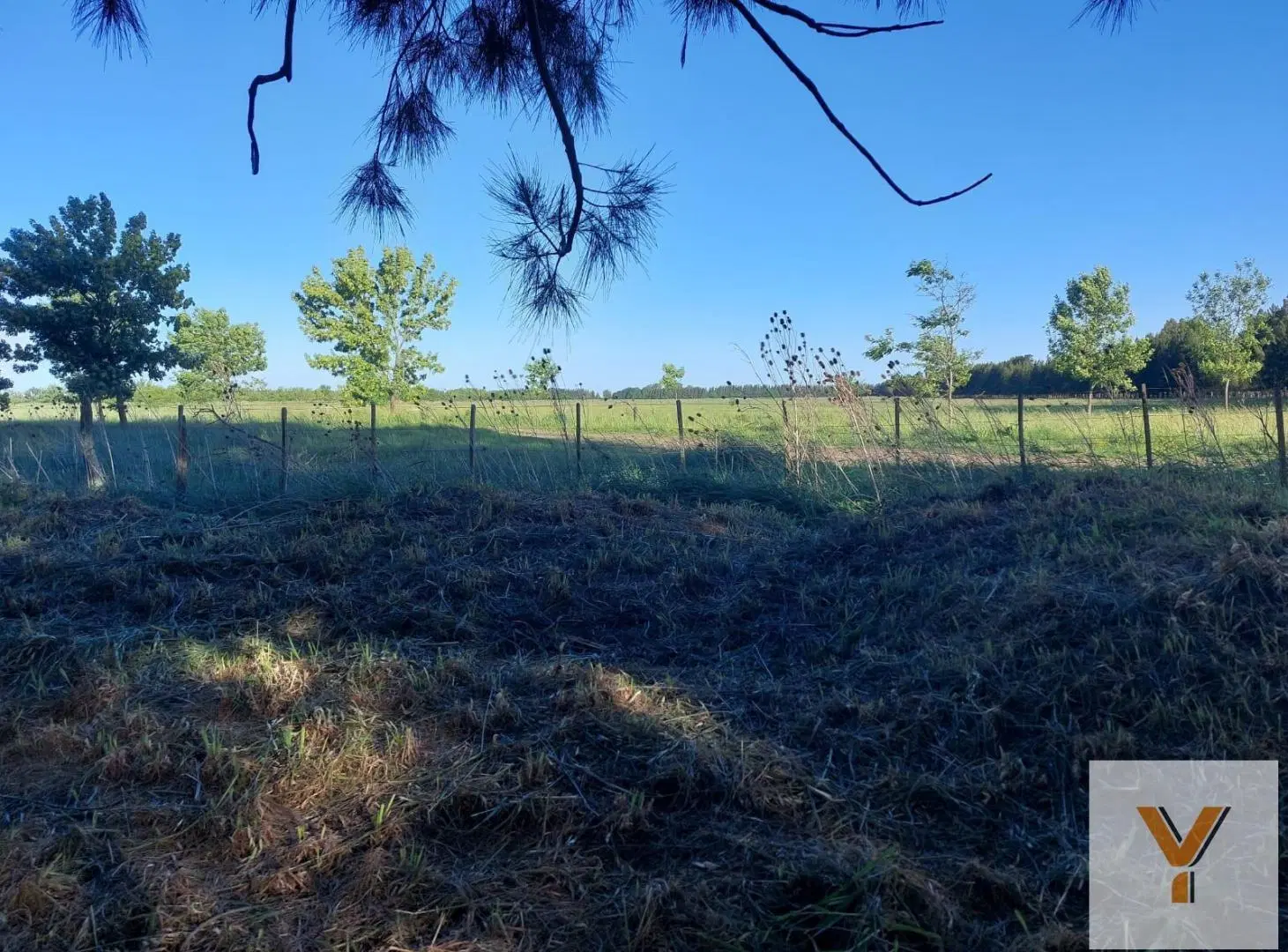 Campo en Venta - - 310000mts - La Plata 4
