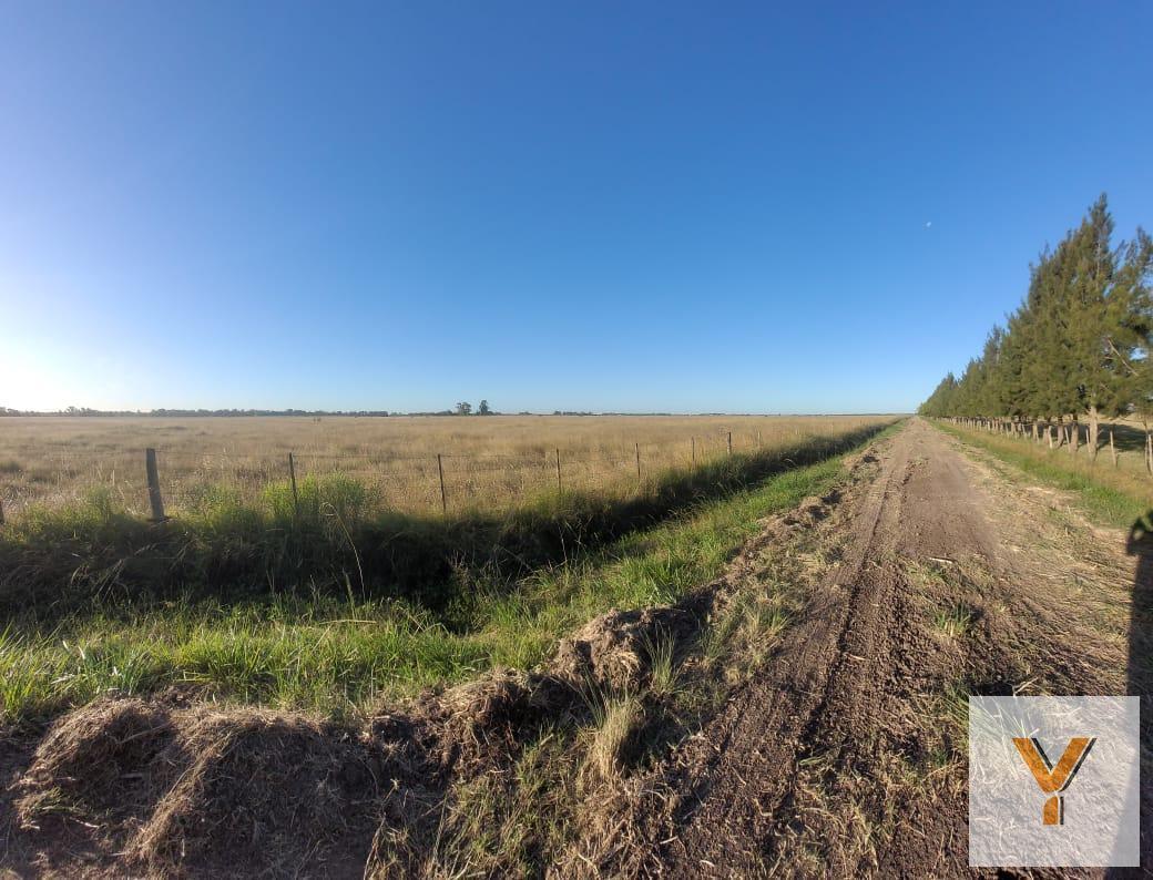 Foto de Campo en Venta - - 310000mts - La Plata, imagen 1