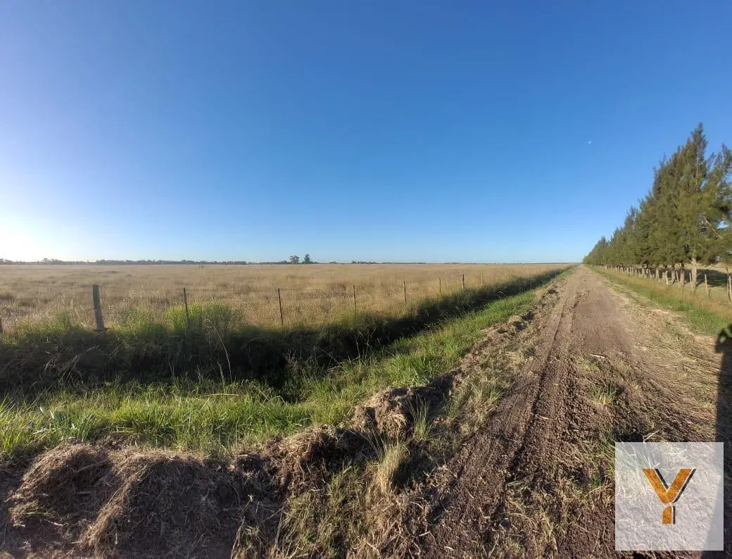 Campo en Venta - - 310000mts - La Plata 2