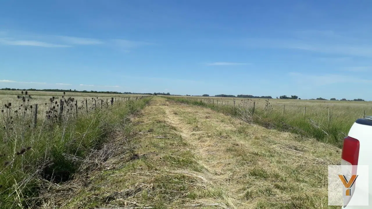 Campo en Venta - - 310000mts - La Plata 1