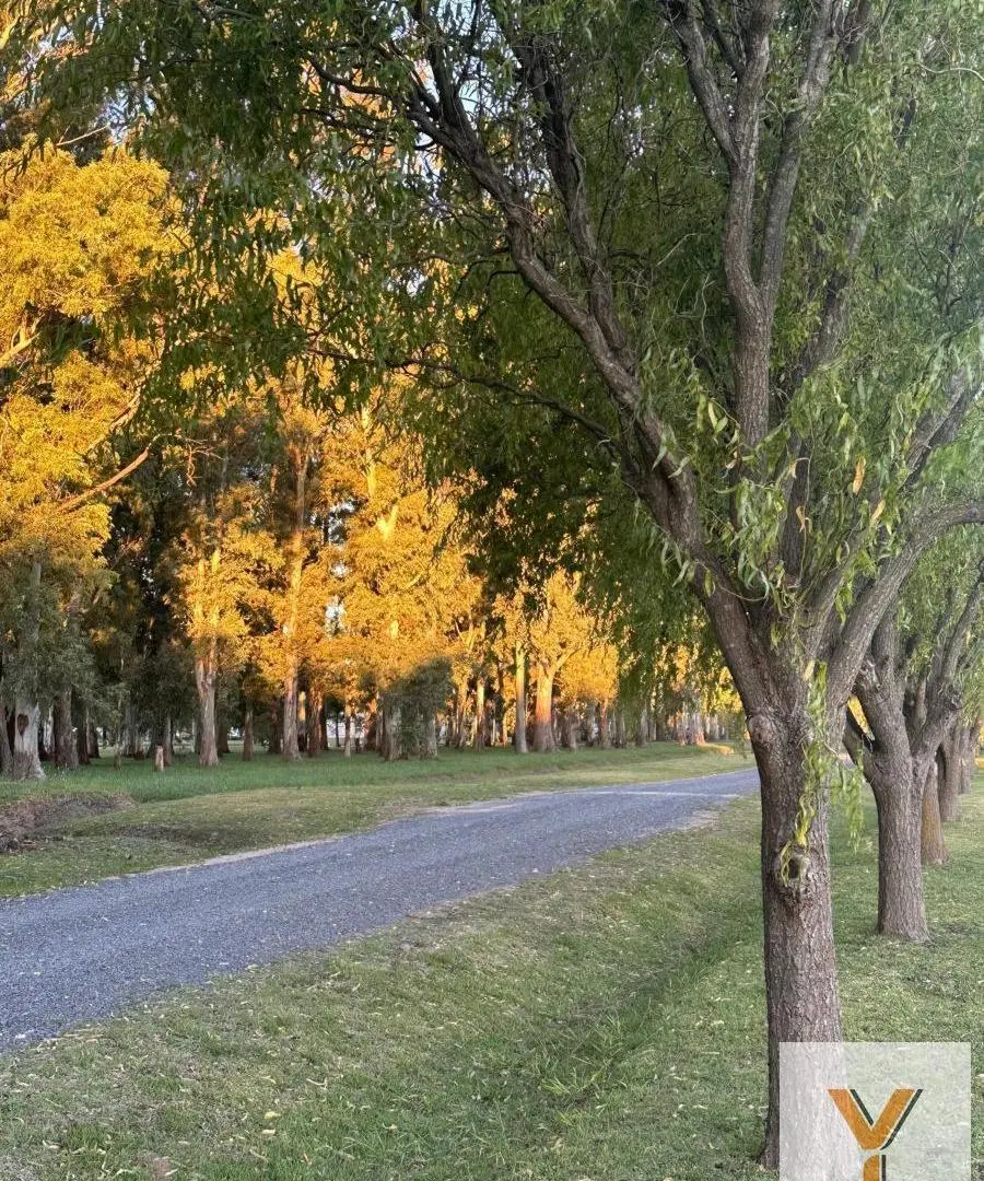 Terreno en Venta - - 2853mts - Coronel Brandsen - Campos de Roca II 8
