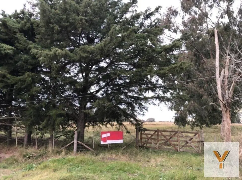 Chacra en venta - 642.074mts2 - Magdalena 1
