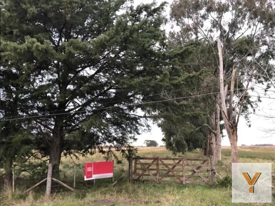 Chacra en venta - 642.074mts2 - Magdalena 4