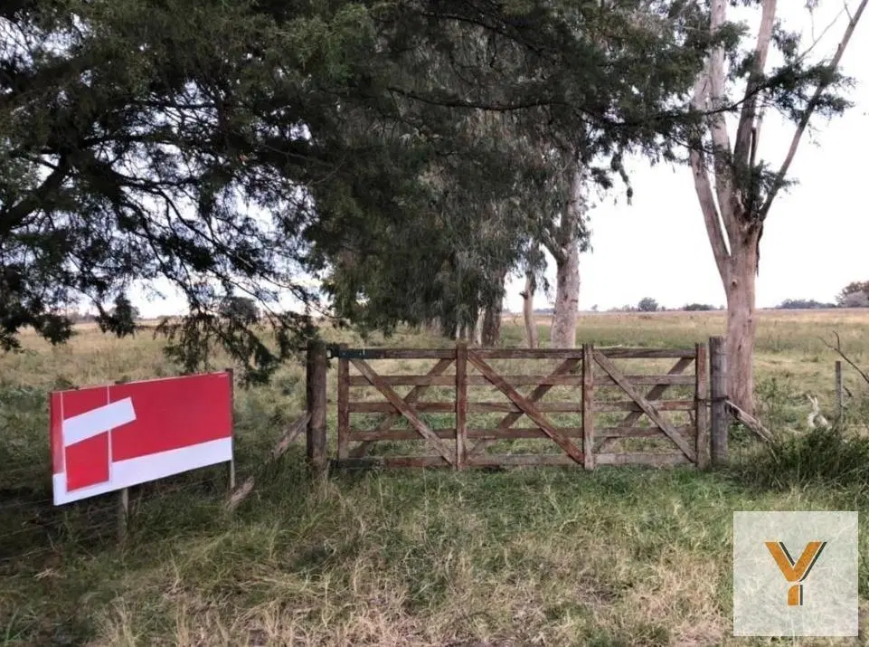 Chacra en venta - 642.074mts2 - Magdalena 2