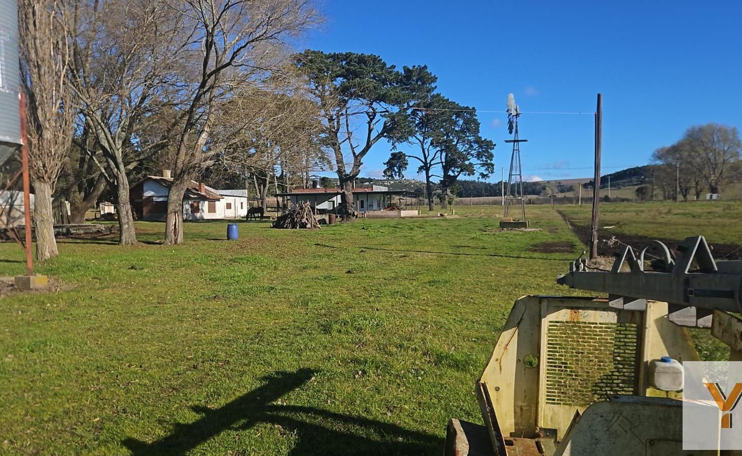 Foto de Campo en Venta - 2 Dormitorios 3 Baños - 120000mts - Mar Del Plata - Sierra de Los Padres, imagen 4