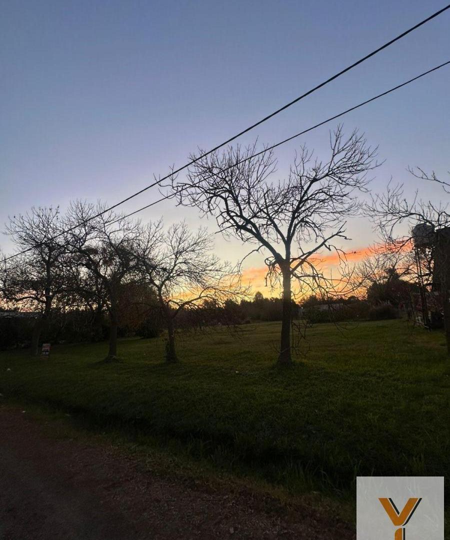 Foto de Terreno en venta - 2.347Mts2 - Guernica, imagen 3