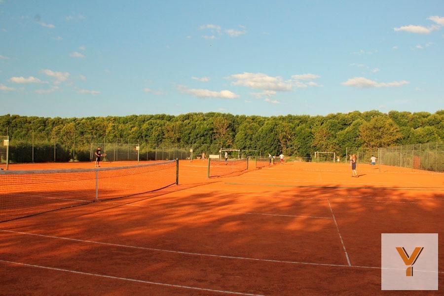 Foto de Terreno en venta - 801mts2 - San Sebastián, imagen 3