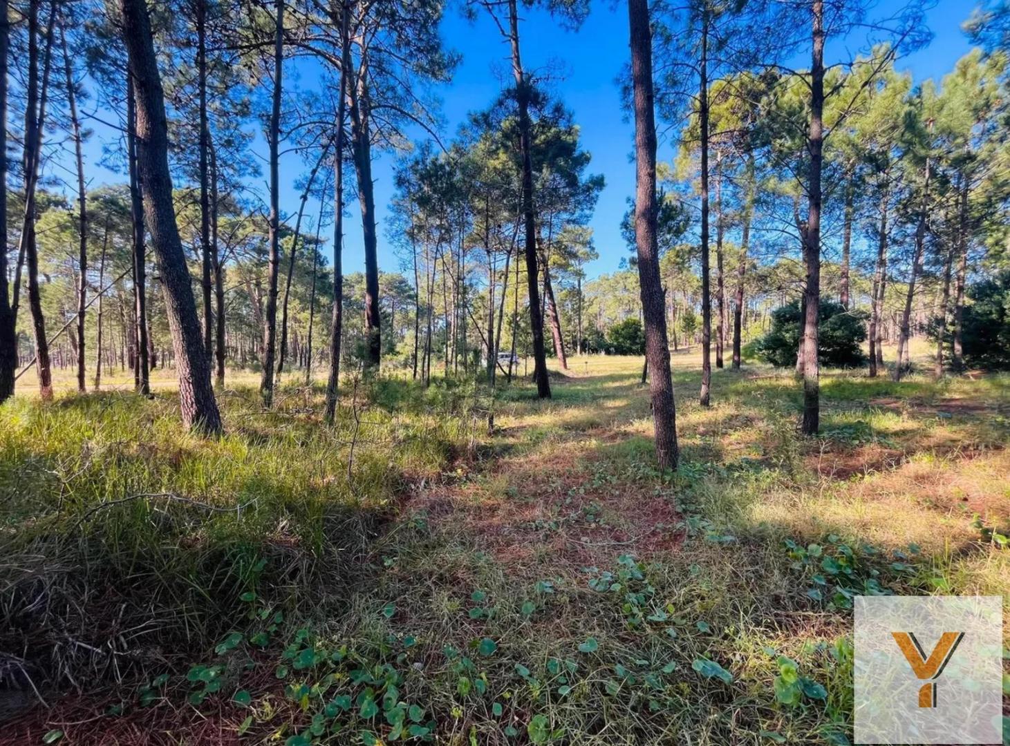 Foto de Terreno en venta - 1.152Mts2 - Pinamar, imagen 4