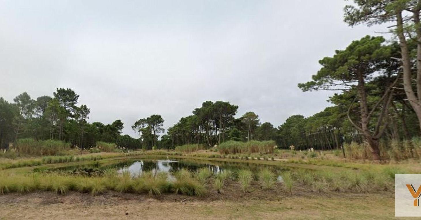 Foto de Terreno en venta - 1.152Mts2 - Pinamar, imagen 5